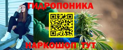 гашик Волгодонск