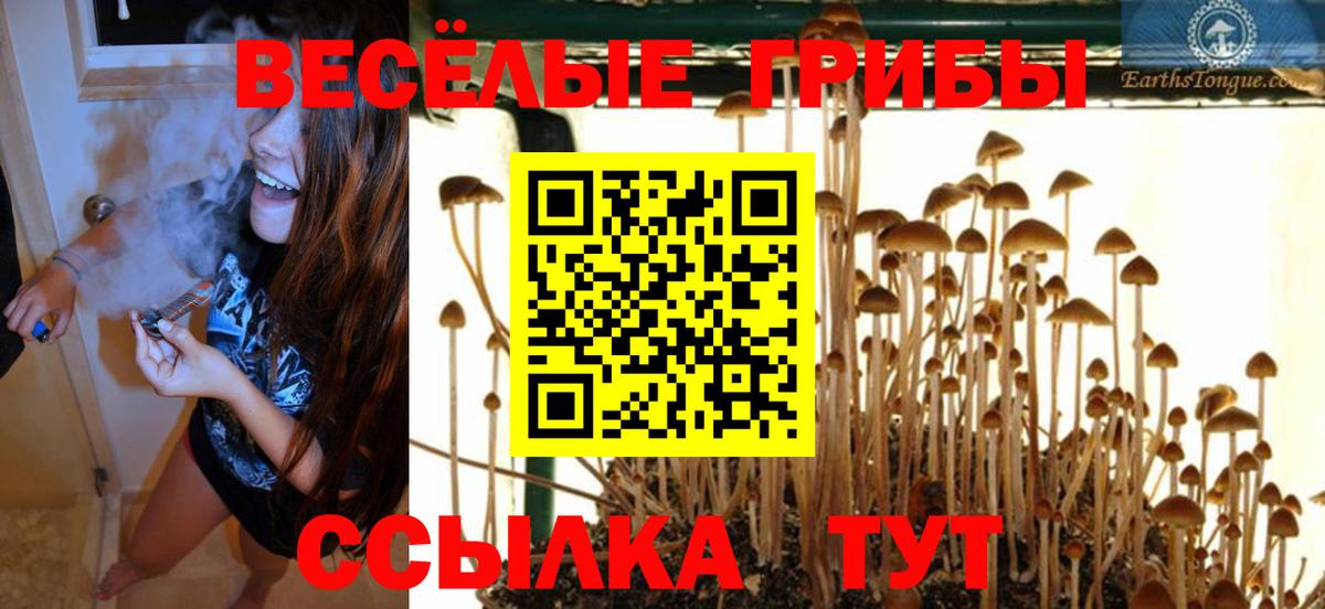 Псилоцибиновые грибы Cubensis Вятские Поляны
